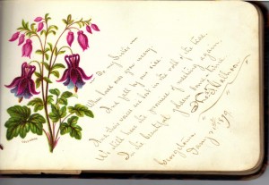 P Calhoon Floral Album Thomas F Calhoon (Frances and John Finley Collection)